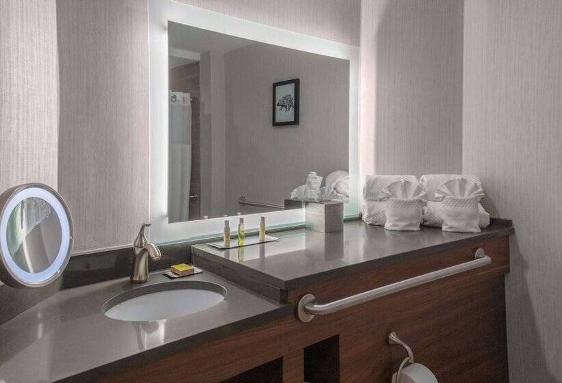 غرفة ديلوكس لذوى الاحتياجات الخاصة, Doubletree By Hilton Burlington Vermont