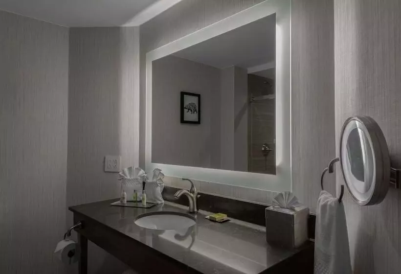 اتاق لوکس, Doubletree By Hilton Burlington Vermont