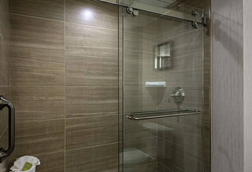 장애인용 디럭스룸, Doubletree By Hilton Burlington Vermont