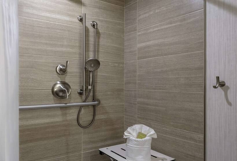 غرفة ديلوكس لذوى الاحتياجات الخاصة, Doubletree By Hilton Burlington Vermont