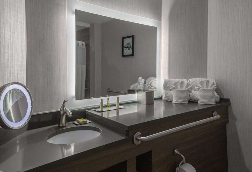 غرفة ديلوكس لذوى الاحتياجات الخاصة, Doubletree By Hilton Burlington Vermont