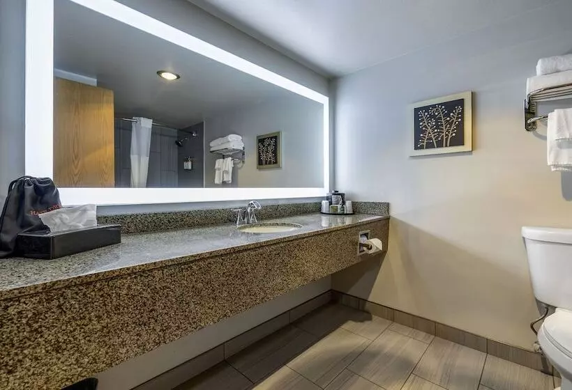 اتاق استاندارد با تخت دوبل, Hells Canyon Grand Hotel, Ascend Hotel Collection