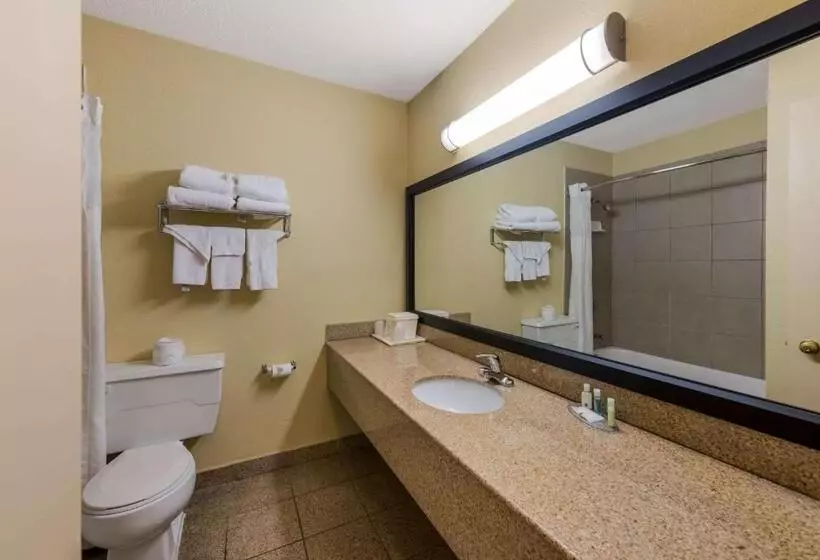 اتاق استاندارد با 2 تخت دوبل, Quality Inn Airport