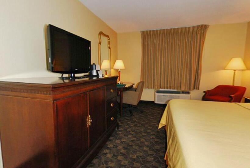 스탠다드 룸 킹사이즈 침대, Quality Inn Airport