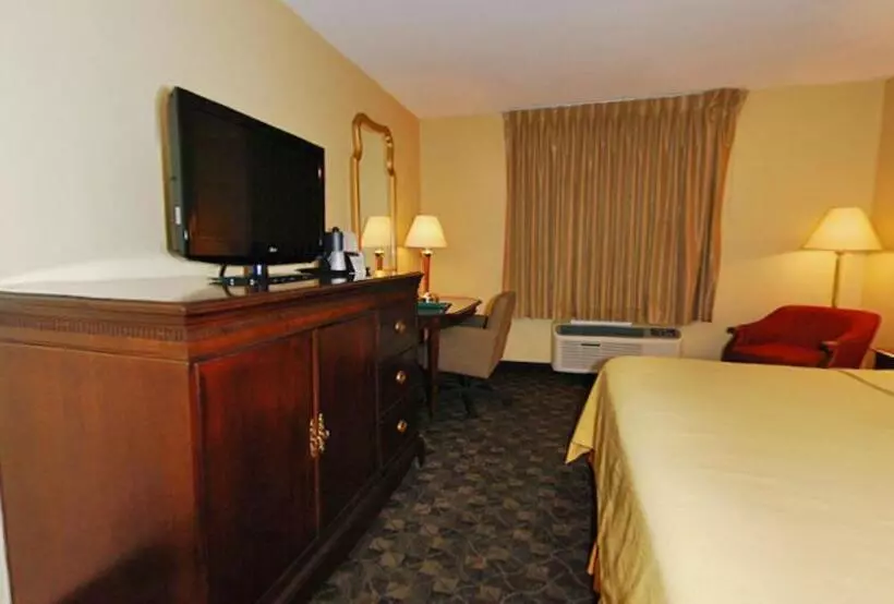 اتاق استاندارد با تخت بزرگ, Quality Inn Airport