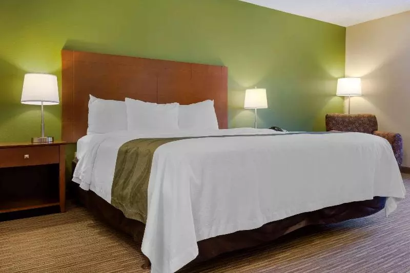 اتاق استاندارد با تخت بزرگ, Quality Inn Harrison North