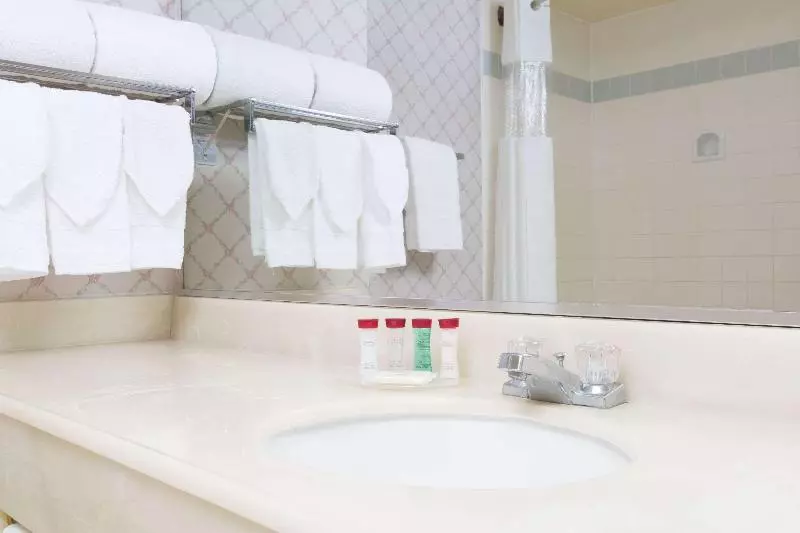 اتاق استاندارد با تخت بزرگ, Ramada by Wyndham Hawthorne LAX / LA Stadium