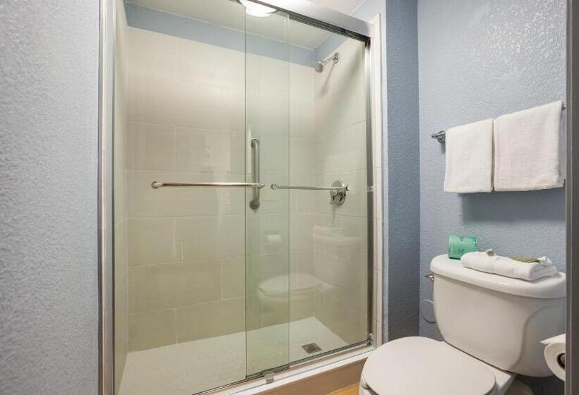 带2个双人床的标准工作室, Red Roof Inn Princeton  Ewing