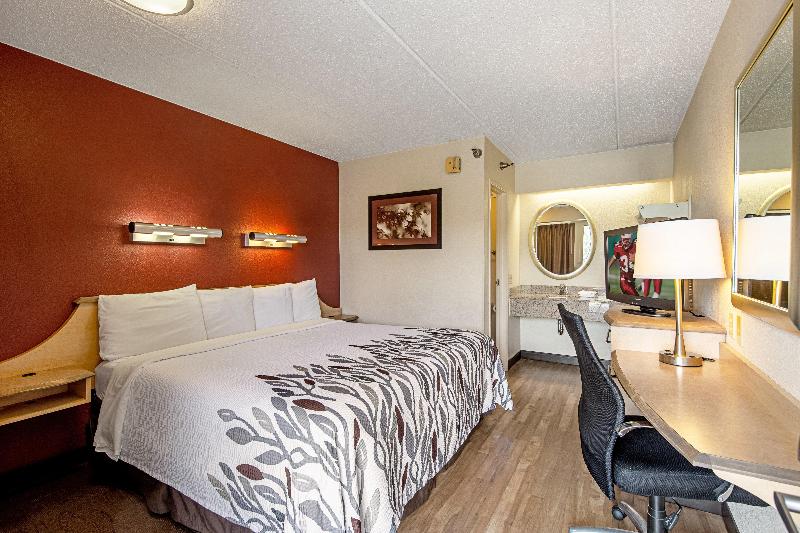 带大床的标准间, Red Roof Inn Virginia Beach