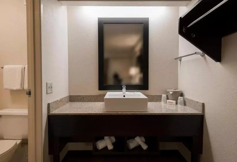 デラックスルーム, Red Roof Inn Plus+ Chicago   Willowbrook