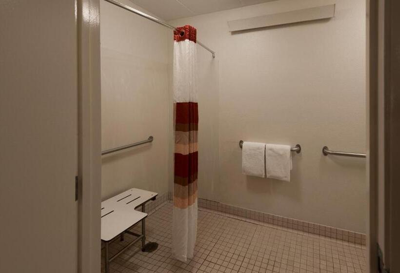 适合残疾人士使用的高档房间, Red Roof Inn Plus+ Chicago   Willowbrook