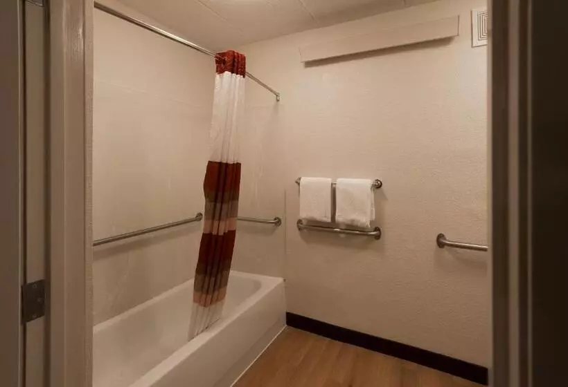 プレミアムルーム, Red Roof Inn Plus+ Chicago   Willowbrook