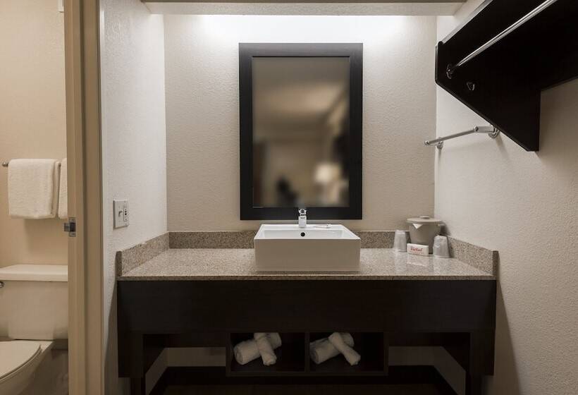 带2个双人床的标准工作室, Red Roof Inn Plus+ Chicago   Willowbrook