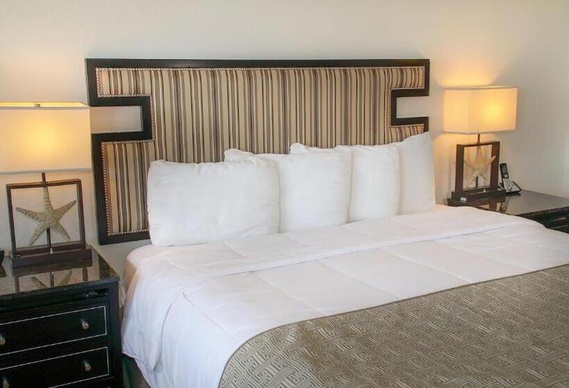 キングサイズベッドのスタンダードルーム, San Simeon Lodge