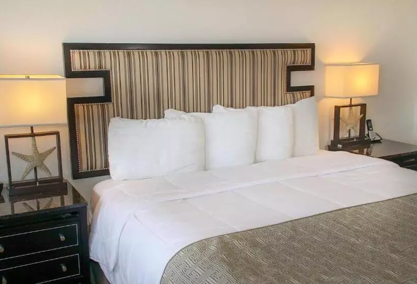اتاق استاندارد با تخت بزرگ, San Simeon Lodge