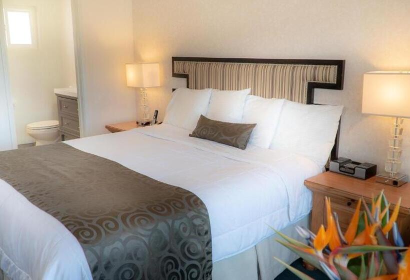 キングサイズベッドのスタンダードルーム, San Simeon Lodge