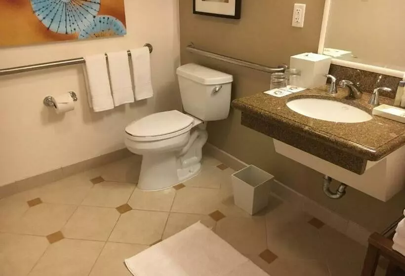 اتاق استاندارد برای معلولان, Naples Grande Beach Resort