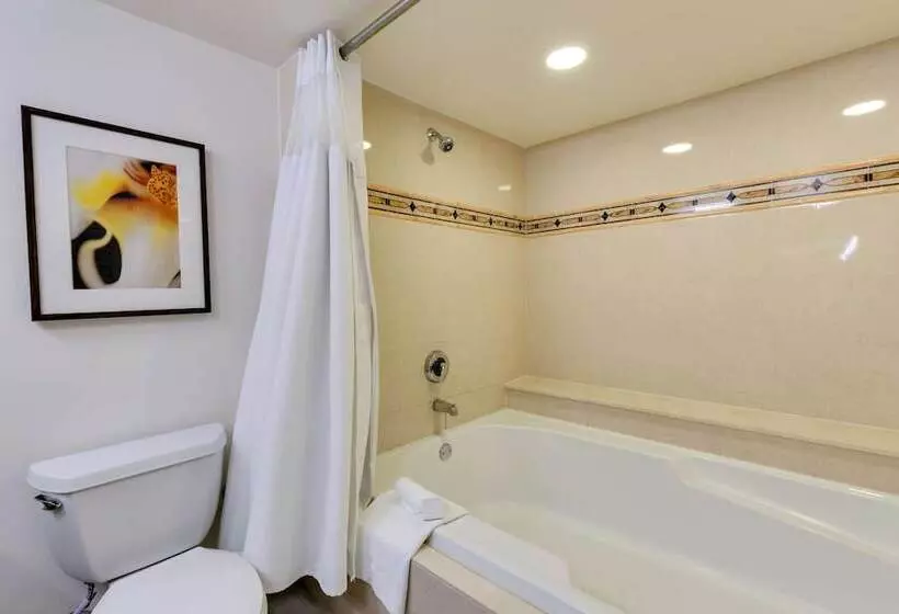 سوئیت با چشم‌انداز, Naples Grande Beach Resort