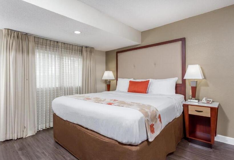 Люкс Deluxe Кровать Кинг, Hawthorn Suites By Wyndham North Charleston