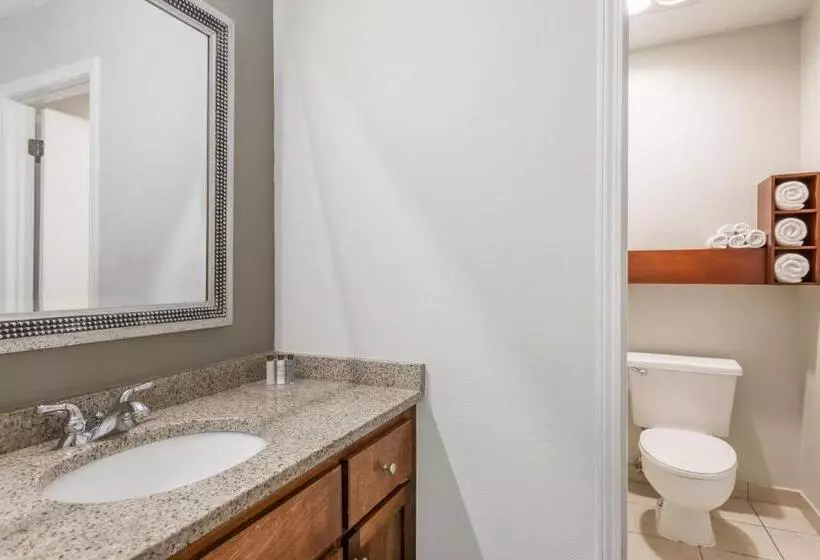 キングサイズベッドのスタンダードルーム, Hawthorn Suites By Wyndham North Charleston