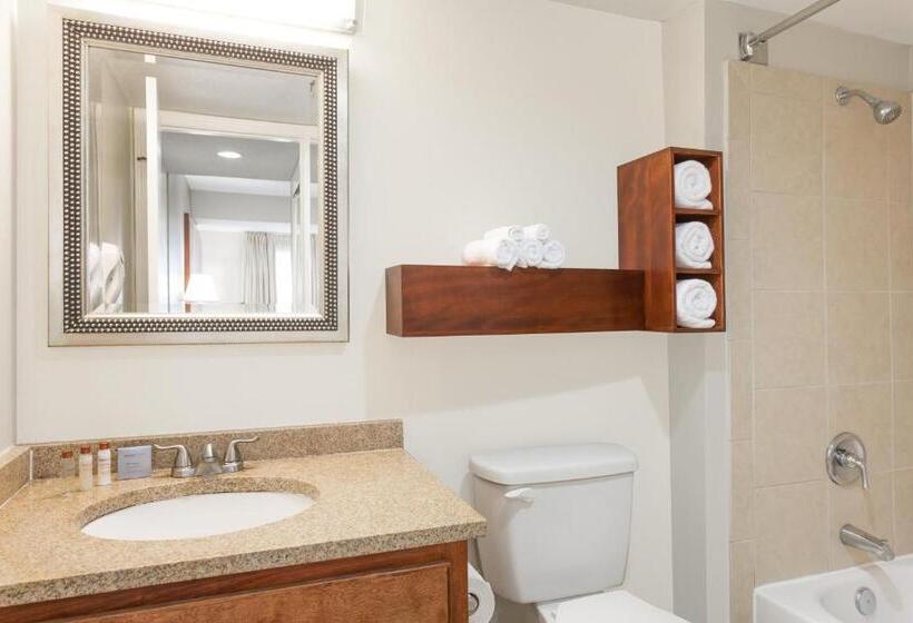 带两个卧室的顶楼公寓, Hawthorn Suites By Wyndham North Charleston