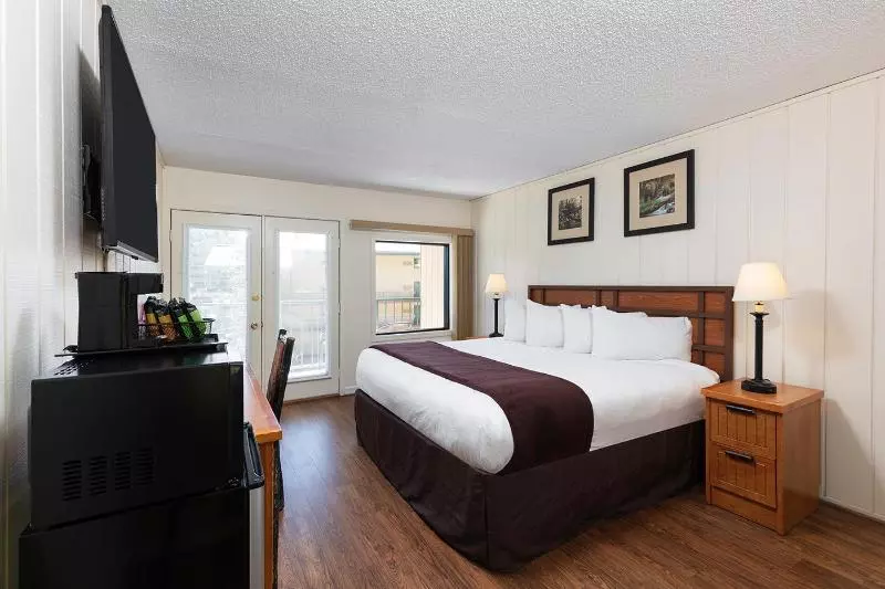 Standard Room King Size Bed