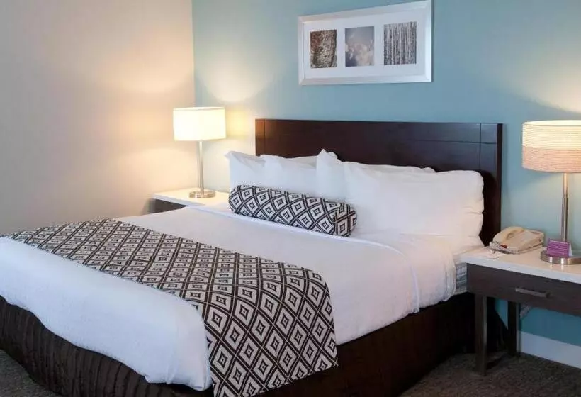 اتاق پرمیوم, Crowne Plaza Hotel And Suites Pittsburgh South, An Ihg