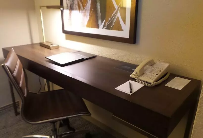ダブルベッドスタンダードルーム, El Conquistador Tucson, A Hilton Resort