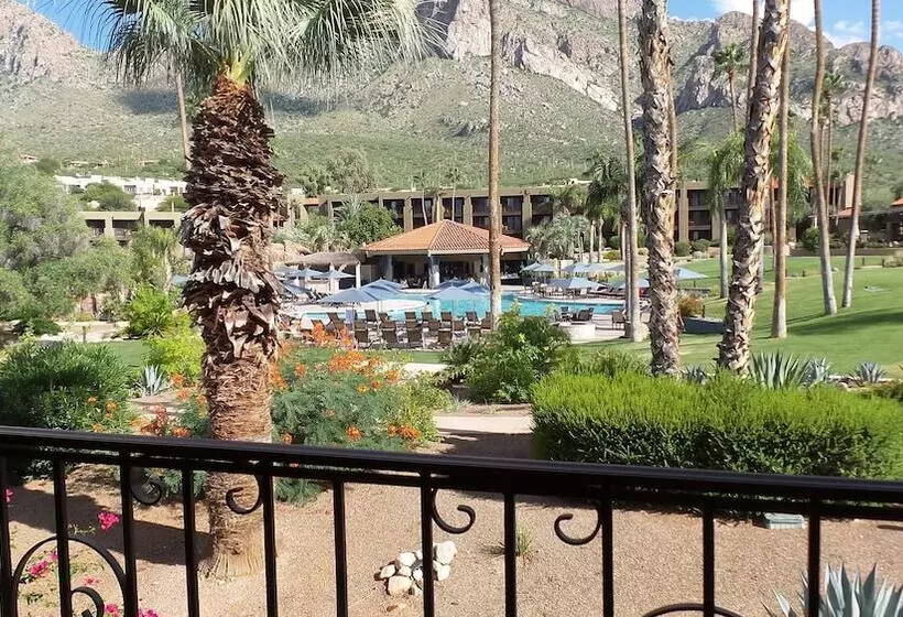 ２ダブルベッドのスタンダードルーム, El Conquistador Tucson, A Hilton Resort