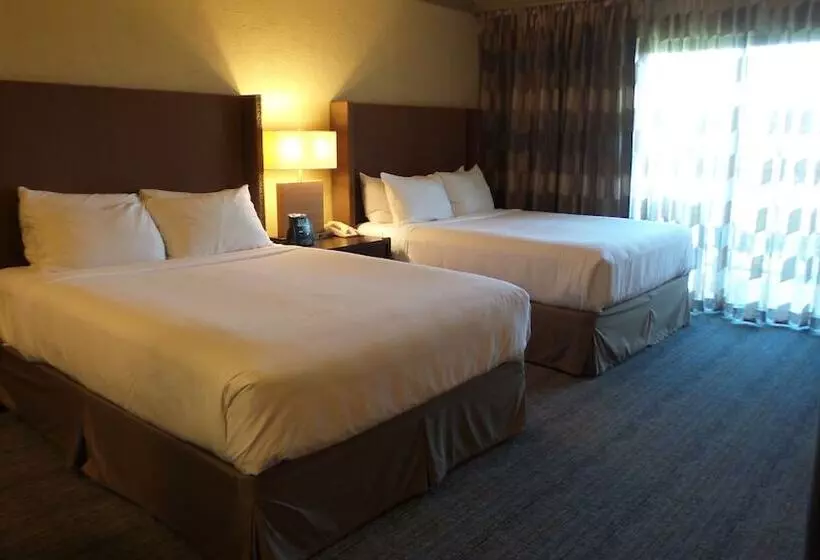 ２ダブルベッドのスタンダードルーム, El Conquistador Tucson, A Hilton Resort
