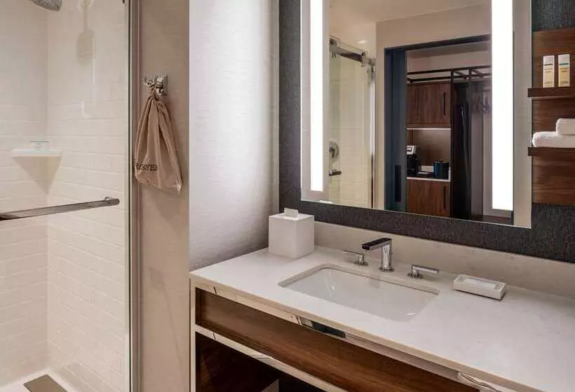 キングサイズベッドのスタンダードルーム, El Conquistador Tucson, A Hilton Resort