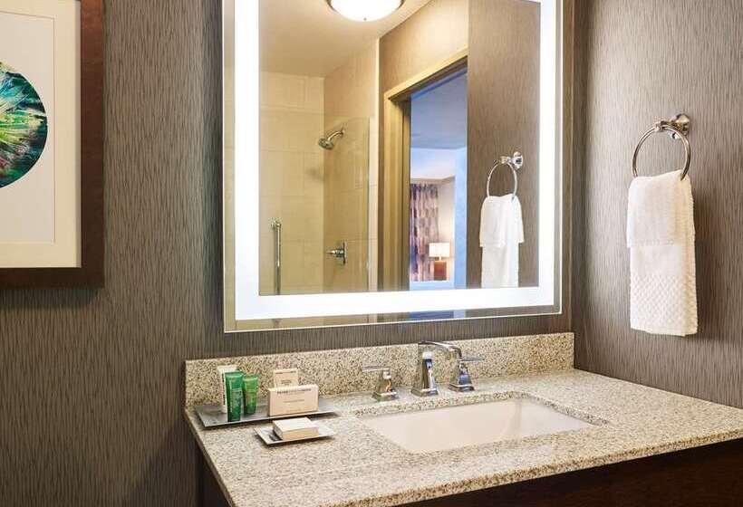 جناح سرير كينج, El Conquistador Tucson, A Hilton Resort