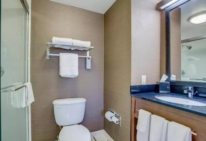 اتاق استاندارد با تخت بزرگ, Fairfield Inn Portsmouth Seacoast