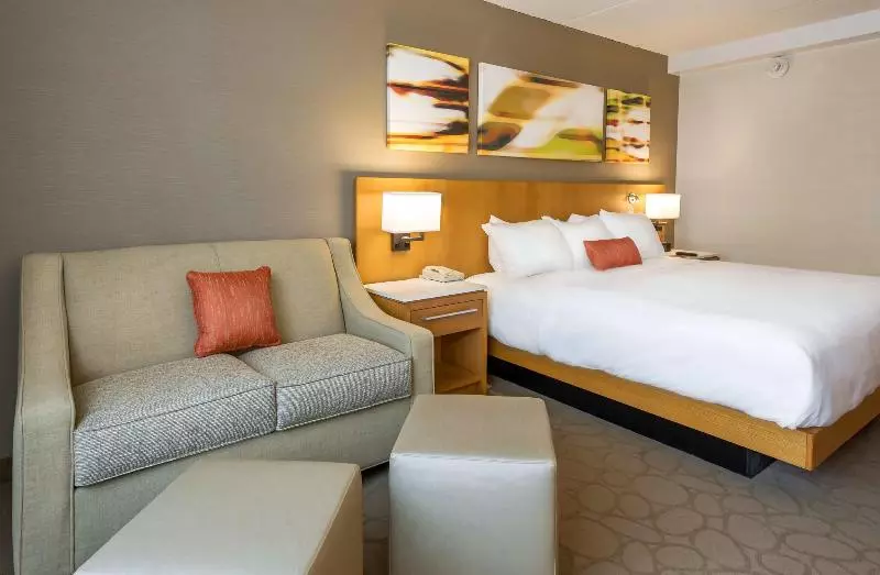 اتاق استاندارد با تخت بزرگ, Delta Hotels By Marriott Utica