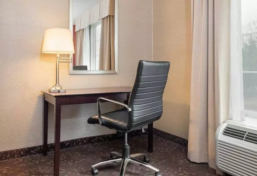 ダブルベッドスタンダードルーム, Holiday Inn Norwich, An Ihg