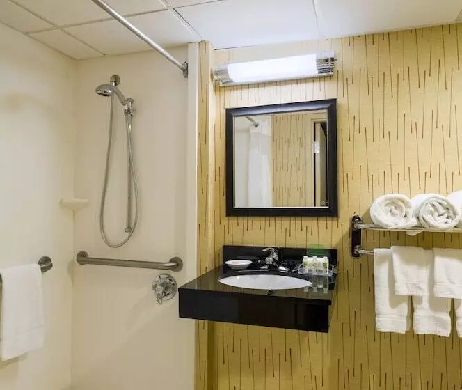 ダブルベッドスタンダードルーム, Holiday Inn Norwich, An Ihg