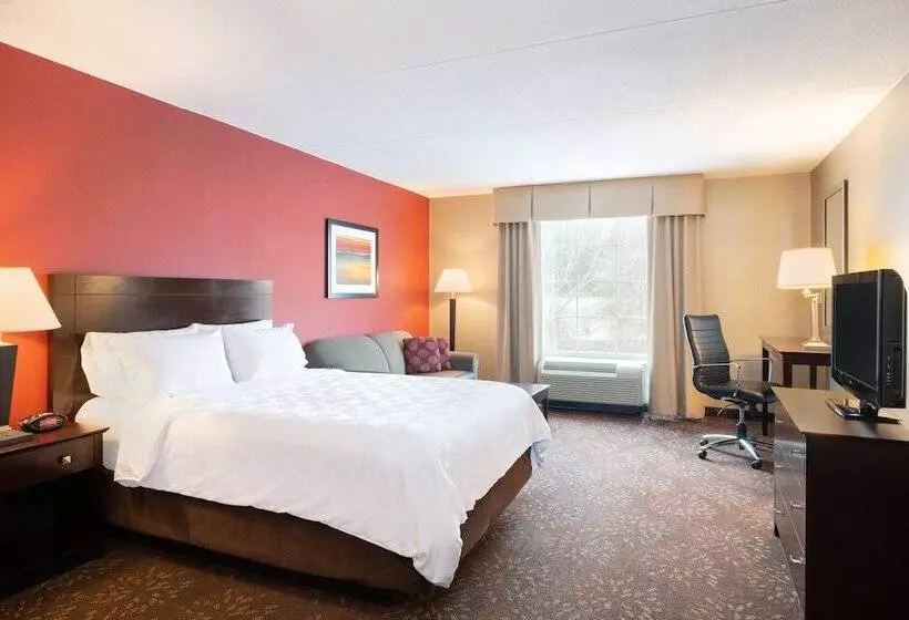 ダブルベッドスタンダードルーム, Holiday Inn Norwich, An Ihg