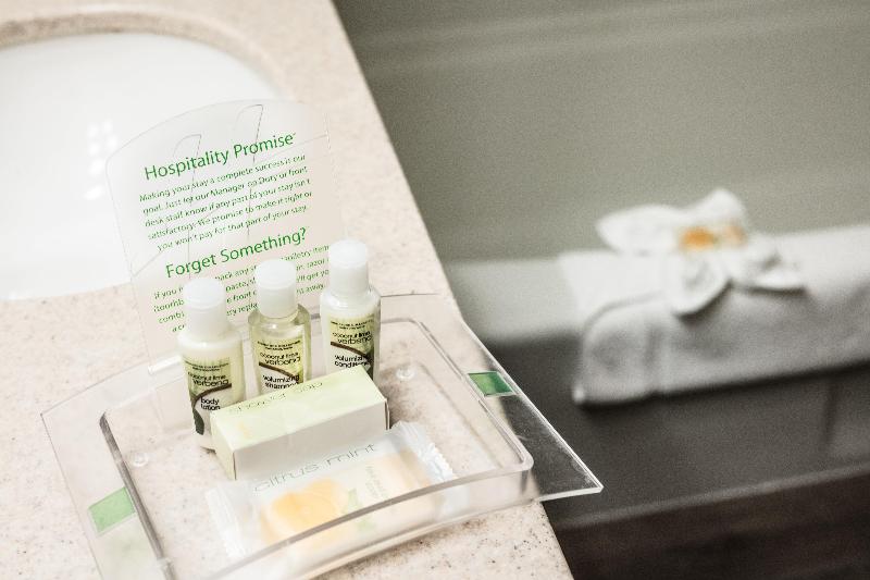 스탠다드 룸 킹사이즈 침대, Wyndham Rochester Downtown