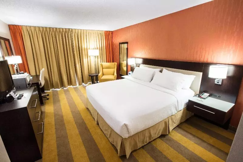 身障者適用キングサイズベッドルーム, Wyndham Rochester Downtown