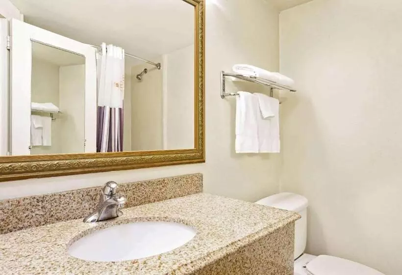 スタンダードルーム, La Quinta By Wyndham Stamford / New York City