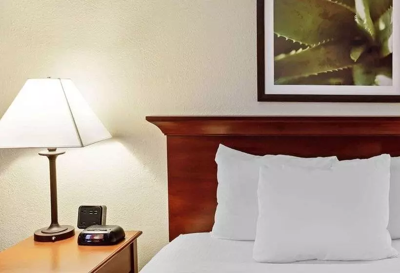 スイート, La Quinta By Wyndham Stamford / New York City