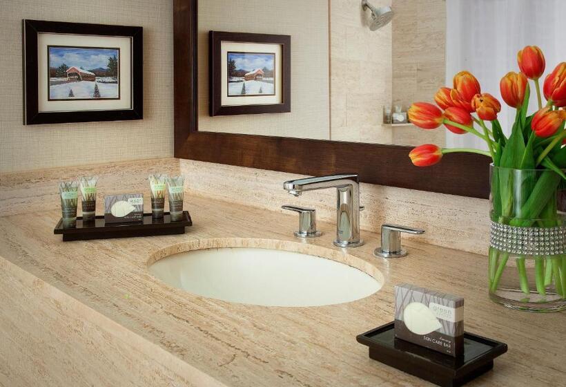 장애인을 위한 킹사이즈 침대 스탠다드 룸, North Conway Grand