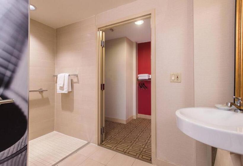 带大床的小型套房, Renaissance Austin