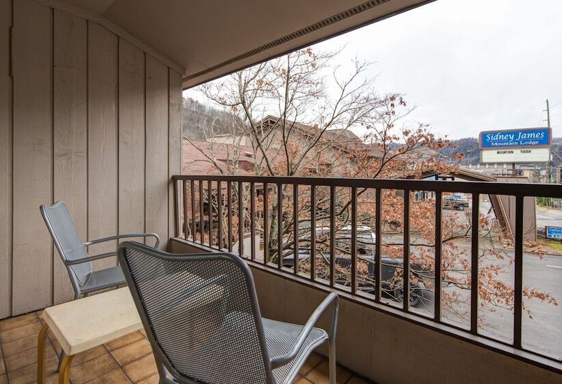 Suite z Hydromasażem, Sidney James Mountain Lodge