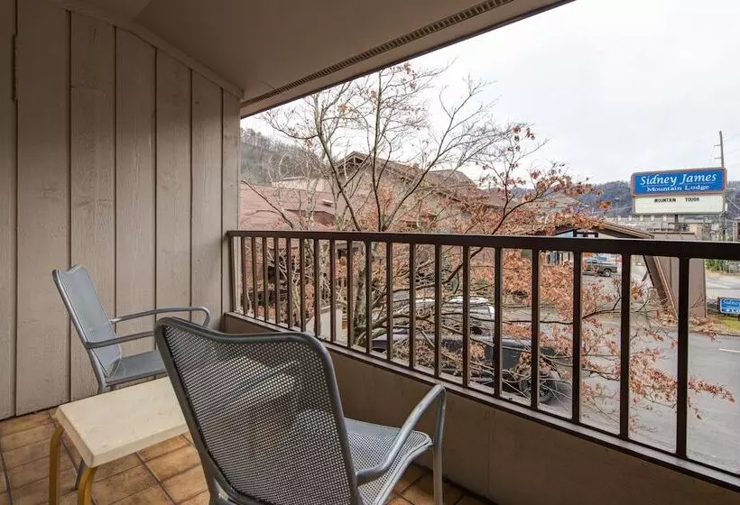 ハイドロマッサージバス付きスイート, Sidney James Mountain Lodge