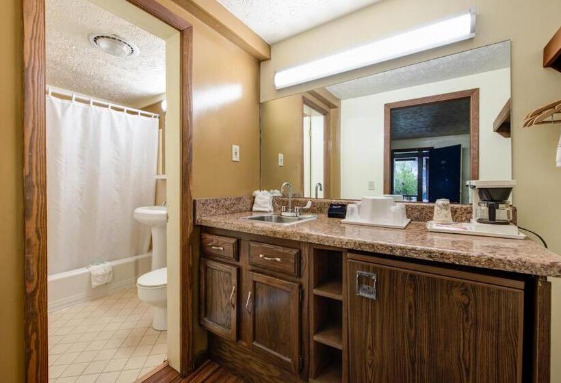 חדר סטנדרט, Sidney James Mountain Lodge