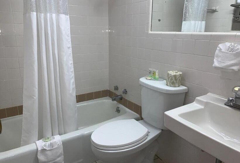 חדר סטנדרט, Sidney James Mountain Lodge