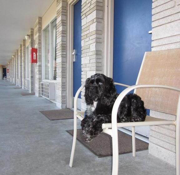 חדר סטנדרט, Sidney James Mountain Lodge