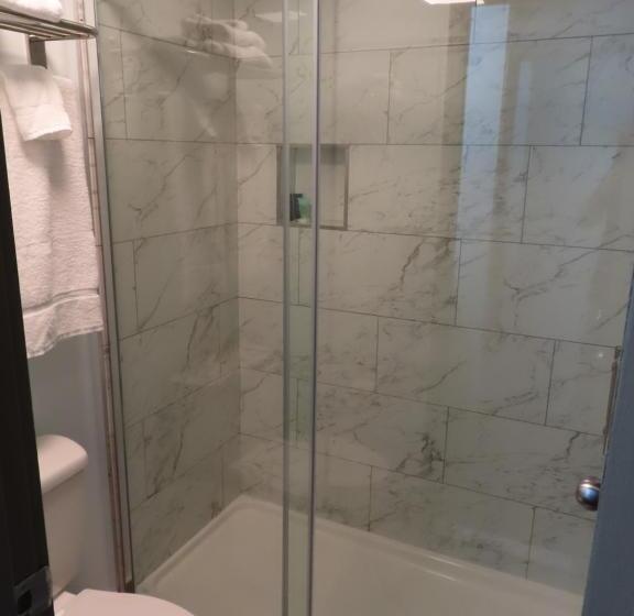 带大床的标准间, St Charles Hotel Downtown Hudson