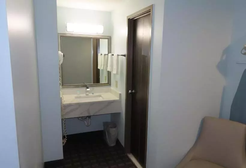 キングサイズベッドのスタンダードルーム, St Charles Hotel Downtown Hudson